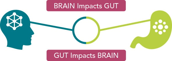 how brain impacts gut chart