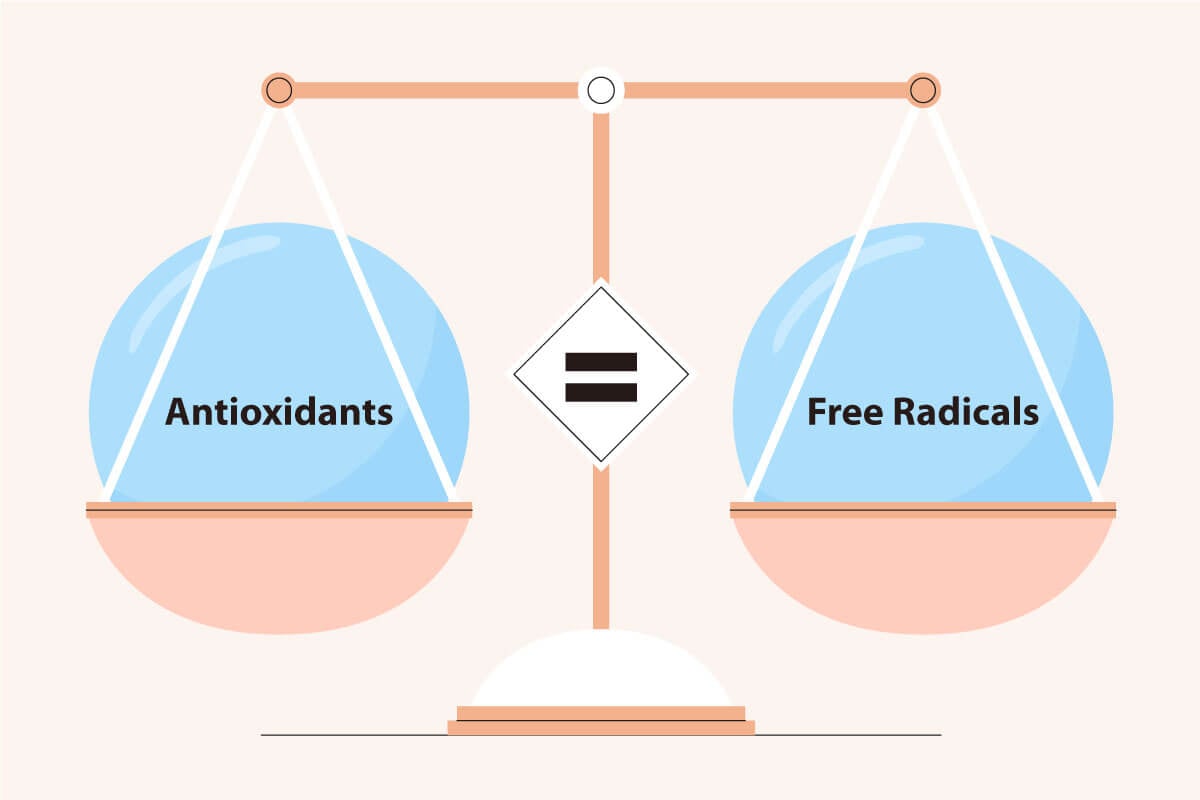 antioxidants and free radicals balance